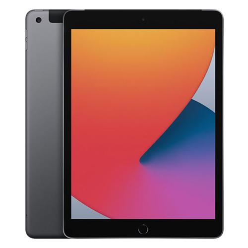 6909_ipad_gen_8_wifi___4g_gray